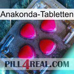 Anaconda Tablets 13